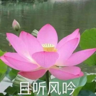 中新健康｜罕见病创新药开出广东首方 PNH患者迎来治疗新希望